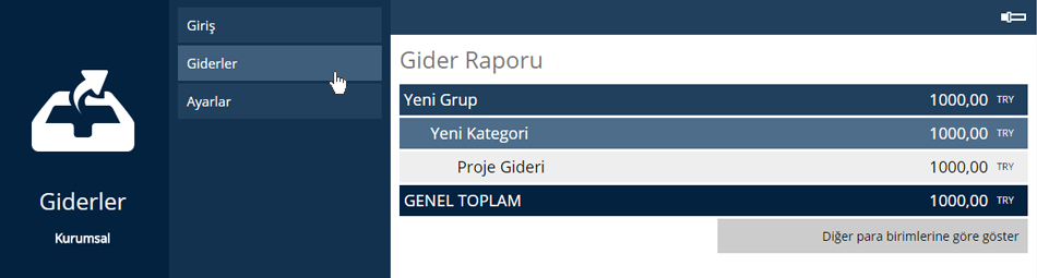 Gider Raporu
