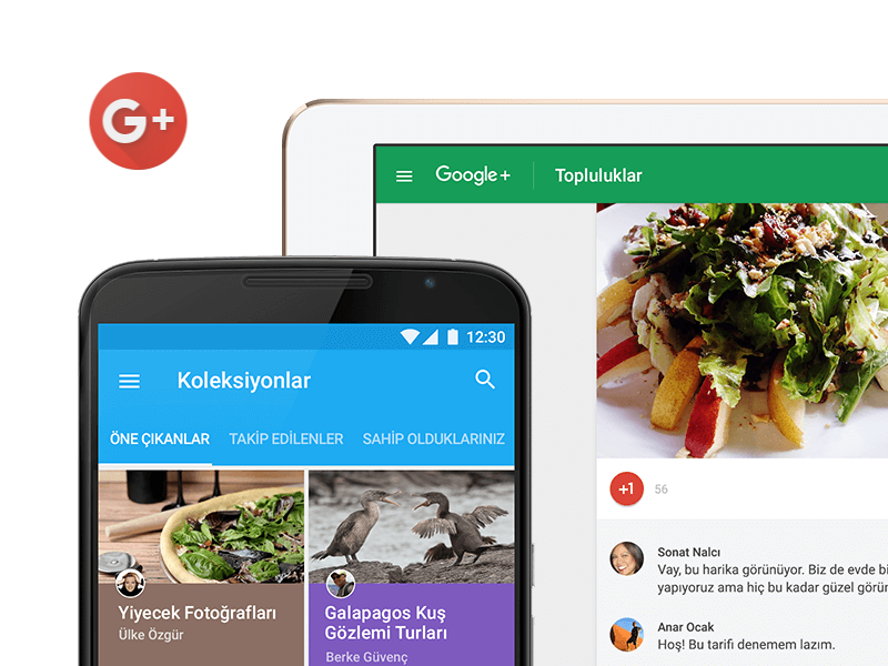 Google Plus'ın Ardından