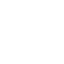 Fleet Rental